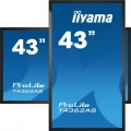 IIYAMA Monitor wielkoformatowy 43 cale T4362AS-B1 20pkt., 24/7, IPS, 500cd, ANDROID 8.0 329607