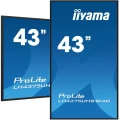 IIYAMA Monitor 42.5 cala ProLite LH4375UHS-B1AG, 24/7,IPS,ANDROID.11,4K,500cd/m2,WiFi,3xHDMI,DP,Daisy/Chain,2xUSB,2x10W,RJ45,iiSignage2,FailOver,SDM,4 333920