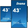 IIYAMA Monitor 42.5 cala ProLite LH4375UHS-B1AG, 24/7,IPS,ANDROID.11,4K,500cd/m2,WiFi,3xHDMI,DP,Daisy/Chain,2xUSB,2x10W,RJ45,iiSignage2,FailOver,SDM,4 333921