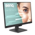 Benq Monitor 23.8 cala GW2490  LED 5ms/IPS/100Hz/HDMI/czarny 334179