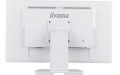 IIYAMA Monitor 24 cale T2452MSC-W1 10 PKT. POJ,IPS,HDMI,DP 339076