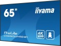 IIYAMA *IIYAMA 65'LH6565UHSB-B1, 24/7,IPS,ANDROID.11,4K,800cd, iiSignage2, SDM, 2x HDMI, DP, 2x USB,2x 10W, RJ45, WiFi, 4/32GB, PION/POZIOM, 400x4 341820