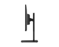 MSI Monitor 23.8 cala PRO MP245PG LED/FHD/Flat/100Hz/czarny 345041