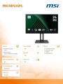 MSI Monitor 23.8 cala PRO MP245PG LED/FHD/Flat/100Hz/czarny 345043