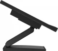IIYAMA Monitor 24 cale T2454MSC-B2AG 10 PKT. POJ,IPS,HDMI,DP,FHD,300cd,4ms,  2x2W 349717