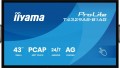 IIYAMA Monitor 43 cale T4329AS-B1AG VA,4K,HDMIx2,USB-C,RJ45,2x10W,WiFi,     Android 14, Signal FailOver, Whiteboard, iiSignage (CMS), iiControl (DMS), 354024