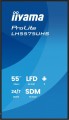 IIYAMA Monitor 55 cali LH5575UHS-B2AG,24/7,IPS,ANDROID.11,4K,  WiFi,         iiSignage2, FailOver, EShare, 24/7, full daisy chain 358189