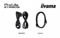 IIYAMA Monitor 19 cali E1980S-B1 HDMI DP 250cd 3ms 360957