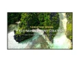 LG Electronics Monitor wielkoformatowy 65 cali 65UL3Q-E 350nit UHD 16/7 361668