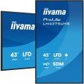 IIYAMA Monitor 43 cale LH4375UHS-B2AG,24/7,IPS,ANDROID.11,4K, WiFi,          iiSignage2, FailOver, EShare, 24/7, full daisy chain 361958