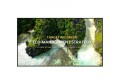 LG Electronics Monitor 50UL3Q-E 350cd/m2 UHD 16/7 363909