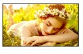 LG Electronics Monitor wielkoformatowy 65UL5Q-E 500cd/m2 UHD 24/7 364453