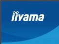 IIYAMA Monitor 27 cali X2793QSU-B1 IPS, QHD, HDMI, DP, 2xUSB 366750