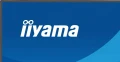 IIYAMA Monitor 23.8 cala X2491HS-B1  IPS,HDMI,DP,1ms,350cd, 1500:1,120Hz,2x2W 369213