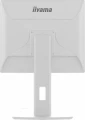 IIYAMA Monitor 19 cali B1980S-W1 HDMI, DP, PIVOT, HAS/150mm 369545