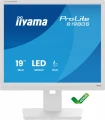 IIYAMA Monitor 19 cali B1980S-W1 HDMI, DP, PIVOT, HAS/150mm 369553