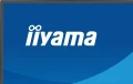 IIYAMA Monitor 27 cali XB2797QSN-B1 IPS/3.7 megapixel QHD, HAS150/ 350cd/1ms/HDMI/Displayport, USBC DOCK 65W, 4USB HUB, RJ45 369561