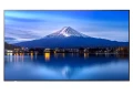 Sharp Monitor wielkoformatowy MultiSync P556 55 cali UHD 700cd/m2 24/7 370763
