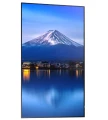 Sharp Monitor wielkoformatowy MultiSync P556 55 cali UHD 700cd/m2 24/7 370764