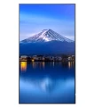 Sharp Monitor wielkoformatowy MultiSync P556 55 cali UHD 700cd/m2 24/7 370773