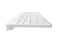 Natec Klawiatura Tang US bezprzewodowa BT + 2.4GHz cicha Slim biała 378456