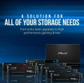 PNY Dysk SSD 500GB M.2 2280 CS2241 M280CS2241-500-RB 378535