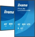IIYAMA Monitor  profesjonalny 43 cale LH4366UHSB-B1AG 4K, VA, A14, 800cd, 4000:1, 6,5ms,2xHDMI, USB-C, RJ45, 2xUSB, 2x10W, WiFi, iiSignage2, RAM: 4GB, 379129