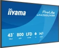 IIYAMA Monitor  profesjonalny 43 cale LH4366UHSB-B1AG 4K, VA, A14, 800cd, 4000:1, 6,5ms,2xHDMI, USB-C, RJ45, 2xUSB, 2x10W, WiFi, iiSignage2, RAM: 4GB, 379131