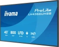 IIYAMA Monitor  profesjonalny 43 cale LH4366UHSB-B1AG 4K, VA, A14, 800cd, 4000:1, 6,5ms,2xHDMI, USB-C, RJ45, 2xUSB, 2x10W, WiFi, iiSignage2, RAM: 4GB, 379132